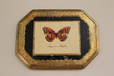 Vintage Florentia Butterflies Set of Three Wall Plaques