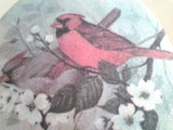 Cardinals in Blooms