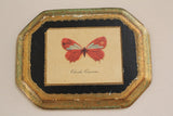 Vintage Florentia Butterflies Set of Three Wall Plaques